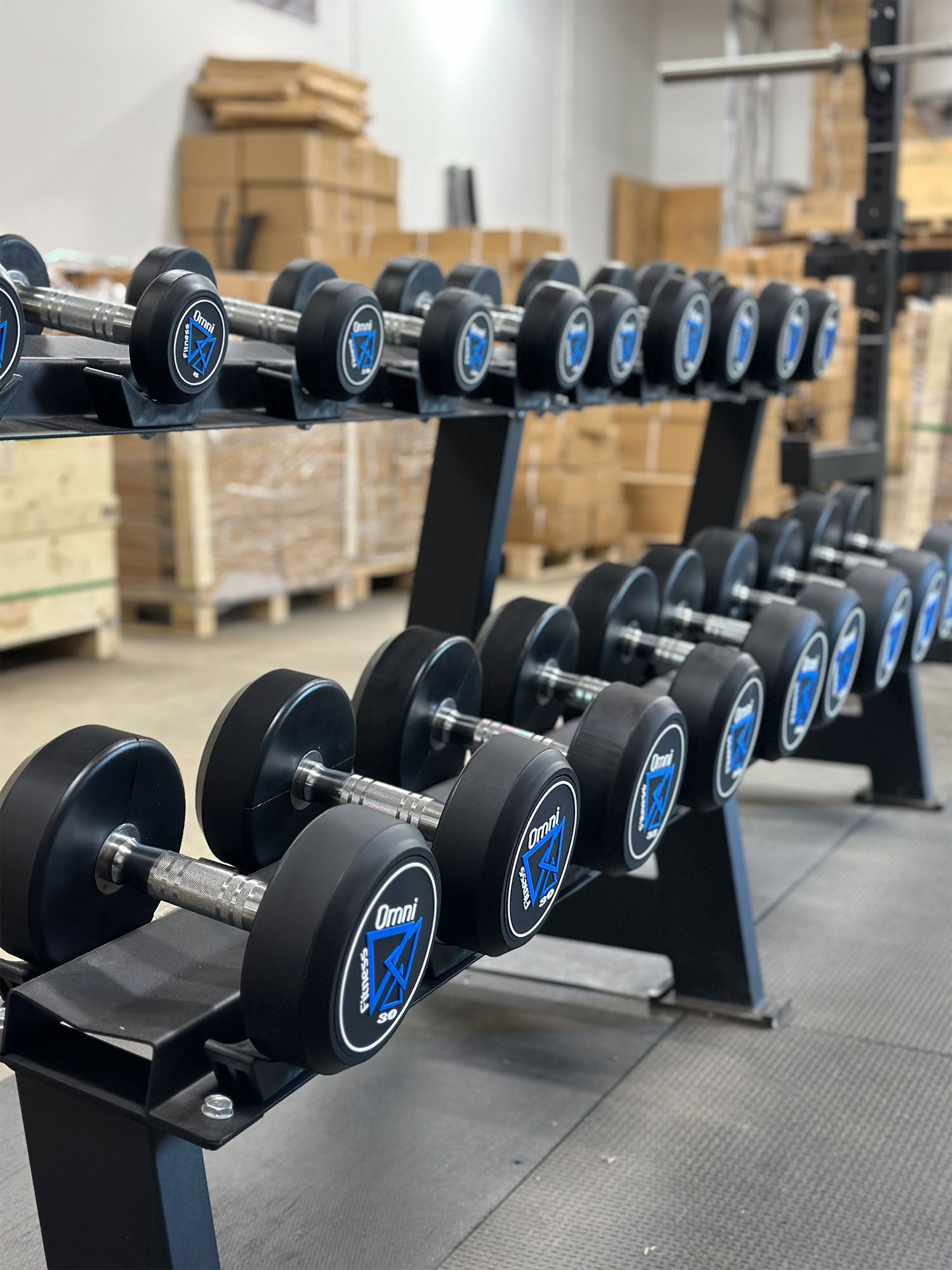 Signature Series Dumbbells – Omni Fitness